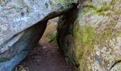 Tocht Stappen Fontainebleau - Sentier Denecourt 3 - Photo 18