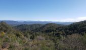 Tocht Stappen Roquebrune-sur-Argens - Le lac des Clos - Photo 6