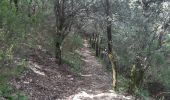 Tour Wandern Maureillas-las-Illas - dolmen de la Siureda via tour Bel Ull - Photo 3