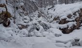 Randonnée Raquettes à neige Névache - 1-01-21 Nevache-Fontcouverte - Photo 6
