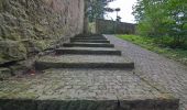 Tour Zu Fuß Rehburg-Loccum - Weg 3 - gelb - Wanderung im Loccumer Klosterwald - Photo 8