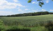 Tour Zu Fuß Schwerte - Rundweg um Schwerte S - Photo 10