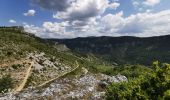 Randonnée Marche Gorges du Tarn Causses - Mas Andre/ Tonnas - Photo 2