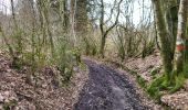 Randonnée Marche Bouillon - Cornimont 100324 - Photo 5