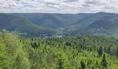 Tour Wandern Allarmont - 2019-06-08 Marche Allarmont et ses rochers - Photo 14
