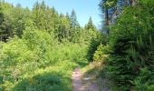 Trail Walking Aywaille - Dieupart . Henoumont . Fonzai . Kin . Dieupart - Photo 8