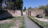 Tocht Te voet Zaragoza - Camino Natural del Ebro de Zaragoza a La Cartuja - Photo 2