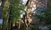 Tocht Stappen Ottrott - Mont St Odile - Mur Païen - Grotte des Druides - Sentier des Merveilles - Photo 5