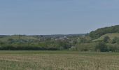 Trail Walking Plombières - 20200531 - Cimetière américain 7 Km - Photo 2