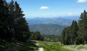 Tocht Stappen Beaumont-du-Ventoux - Ascension du Ventoux versant nord - Photo 9