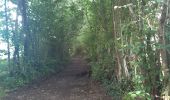 Trail Walking Theux - La Reid  .  Vert Buisson  .  Charmille  .  La Reid - Photo 9