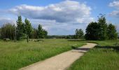 Trail On foot Hoegaarden - Dorps- en Kapellenwandeling - Photo 5