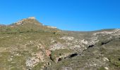 Trail Walking Marseille - Le Taoume - Photo 2