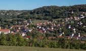 Percorso A piedi Igensdorf - Weißenoher Blaurautenweg - Photo 9