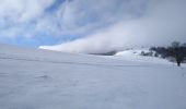 Tocht Sneeuwschoenen Bourbach-le-Haut - Sortie raquettes Hundsruck Belacker - Photo 7