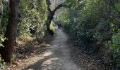 Trail Walking Saint-Rémy-de-Provence - CR_Domitia_BB_24_St-Remy-Provence_Orgon_20220405 - Photo 2