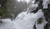 Tocht Sneeuwschoenen Gérardmer - gerardmer2 - Photo 2