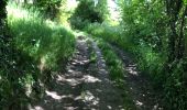 Trail Walking Barneville-la-Bertran - Honfleur  - Photo 4