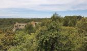 Tour Wandern Saumane-de-Vaucluse - autour de Saumane  - Photo 1