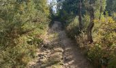 Trail Walking Sobrado e Bairros - Castelo de Paiva - Douro (GR60) - Photo 3