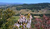 Randonnée Marche Sanary-sur-Mer - Sanary - Les grottes du Gros Cerveau - Photo 11