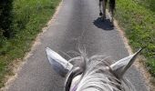 Trail Horseback riding Pont-de-Poitte - poitre binans 14/o7/19 - Photo 9