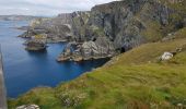 Tocht Auto West Cork - 190703MizenHead - Photo 2