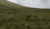 Percorso Marcia West Cork - Allihies - Castletownbere - Photo 9