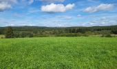 Tour Wandern Léglise - Louftémont 140923 - Photo 9