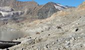 Trail Walking Bonneval-sur-Arc - col de la Disgrâce - Photo 12