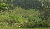 Excursión Bici de montaña La Bresse - Honneck Gerardmer - Photo 1