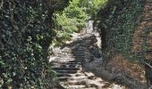 Trail Walking Tanus - Tanus le Vieux vers la chapelle de Las Planques - Photo 1
