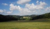 Tour Wandern Andenne - 20190702 Kevret - Photo 12