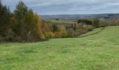 Excursión Senderismo Aywaille - Boucle de Pouhon - Photo 3