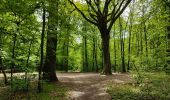 Tocht Stappen Viroflay - La Celle St Cloud depuis Viroflay - Photo 10