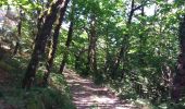 Trail Walking Connac - Boucle Connac Lincou - Photo 16