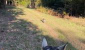 Trail Horseback riding Habay - Marbehan 9 octobre 2022e - Photo 2