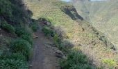 Randonnée Marche Ingenio - Barranco de Guayadeque (Gran Canaria) - Photo 11