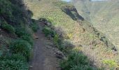 Excursión Senderismo Ingenio - Barranco de Guayadeque (Gran Canaria) - Photo 11