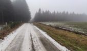 Tour Wandern La Nouaille - la boucle du Puy Riau - Photo 2