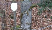 Tour Zu Fuß Baelen - Schwarzes Kreuz - Runde um des Tal des Escherbachs - Photo 10