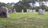 Percorso Marcia Carnac - alignements de Carnac au 21 mai 2019 - Photo 5