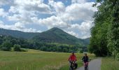 Trail Electric bike Lembach - pays de Fleckenstein - Photo 3
