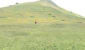 Tocht Stappen Lus-la-Croix-Haute - Pointe feuillette  - Photo 4