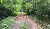 Tour Wandern Lacombe - En forêt de la Loubatière - Photo 5