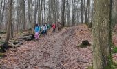 Trail Walking Gif-sur-Yvette - Sur les hauteurs de la Mérantaise - Photo 1