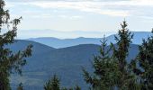 Trail Horseback riding Bourg-Bruche - 2023-09-16 Picnic CVA Climont Bourg Bruche - Photo 5