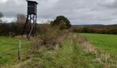 Tour Wandern Érezée - Mormont - Clerheid  7km - Photo 1