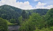 Tour Wandern Sulzern - Rando des APAVIENS..28/06/2024 - Photo 4