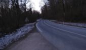 Trail Mountain bike Virton - Torgny par Lamorteau - Balade_VTT_31kms - Photo 2